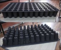 Thermoformed Plastic Seedling Tray 77 Cells