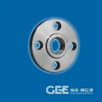 Gee Flange ASTM B16.5 Stainless Steel 316L SO Flange 