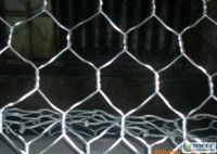 gabion box