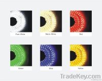 Magic Non-waterproof/waterproof  led strip SMD5050/3528/5630