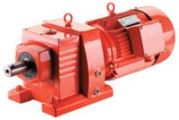 EWR Series Helical Gear Reducer