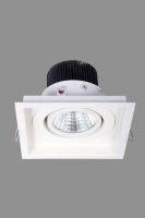 LED Down Light