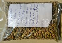 robusta green coffee bean sceen 13, 16, 18