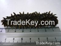 Dry Sea Cucumber, FRESH WATER KING PRAWN, White Shrimps, Black Tiger Shrimps, ...