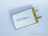 Li-polymer battery
