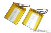 Li-polymer battery