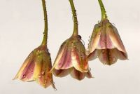 Glass Highlighter & tile decals