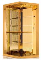 Gold Model Elevator Cabin