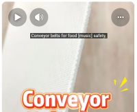 Conveyor Belts For Food Safety