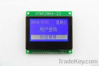 LCD module display