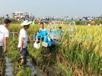 paddy mini combine harvester for rice and wheat