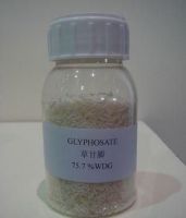 Sell Glyphosate 95% TC, 50% SP, 75.7% WDG 