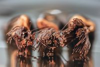 PVC Insulated Copper Building Electrical Wire