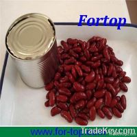 Canned Kidney Beans