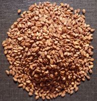 Brown Sesame Seeds