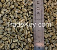 Ethiopian Green Coffee Beans - Sidamo Grade2