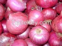 Brown Fresh Onions from Pakistan