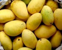 Mangoes