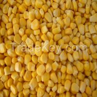 Supply China Frozen Sweet Corn IQF sweet corn kernel