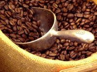 Arabica Coffee Beans