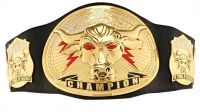 wrestling chempionship belt