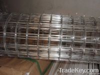 Stainless steel welded wire mesh