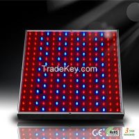 DIP LED Grow panel 14W