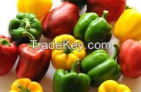 oleoresin capsicum 1%-60% 9million SHU capsaicin crystals liquid capsaicin oleoresin capsicum