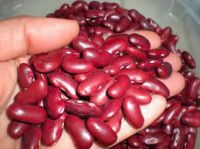 White Kidney Beans, Red Kidney Beans and Black Kidney Beans 