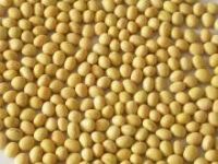 Soybeans