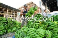 Vietnamese Banana 