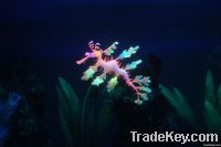 Aquarium accessories Simulation Sea Dragon