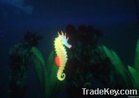 Aquarium accessories Simulation Hippocampal