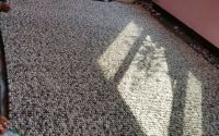 Carpet