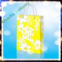 China Manufacturer Paper Gift Bag