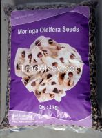 Moringa Seeds