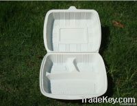 biodegradable disposable plastic lunchbox