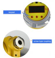 Wall-mounted H2S hydrogen sulfide gas detector