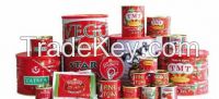 Hot Sell Canned Tomato Paste, Tomato Sauce, Tomato Ketchup