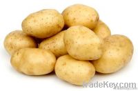 Fresh potato