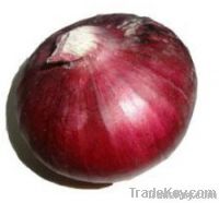 onion