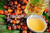 Crude Palm oil, Palm oil, vegetable oil