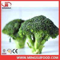 New crop frozen organic broccoli