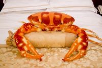 Simulation Crab Plush Toy