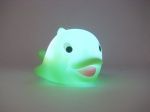 Flashing Dophin