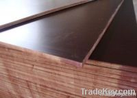 (4-30mm) Black Film Faced Plywood/Fancy Plywood/Building Construction