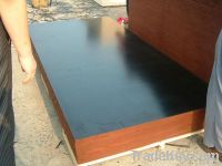 (4-30mm) black film faced plywood