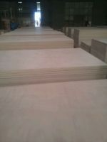 Poplar core okoume face plywood 