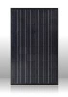Solar Panel PLM-250MB-60 SERIES