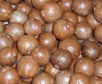 macadamia nuts